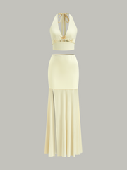 Halter Neck Crop Top and Mesh Paneled Skirt Set