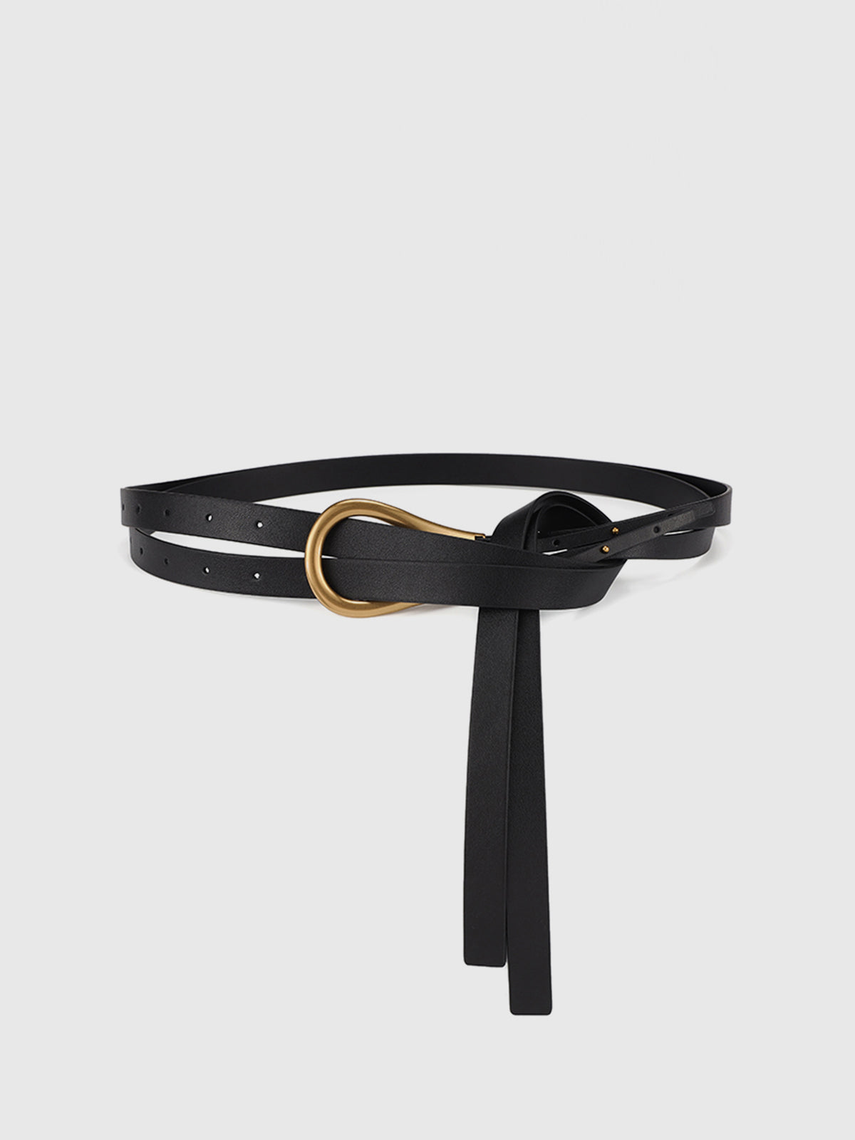 Jupiter Belt