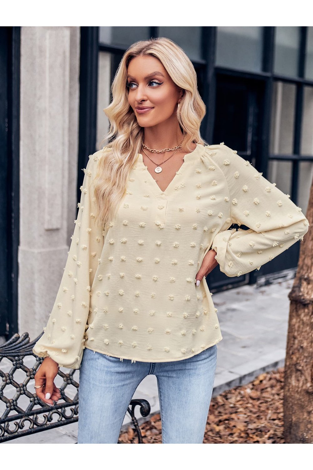 Swiss Dot Notched Neck Long Sleeve Blouse