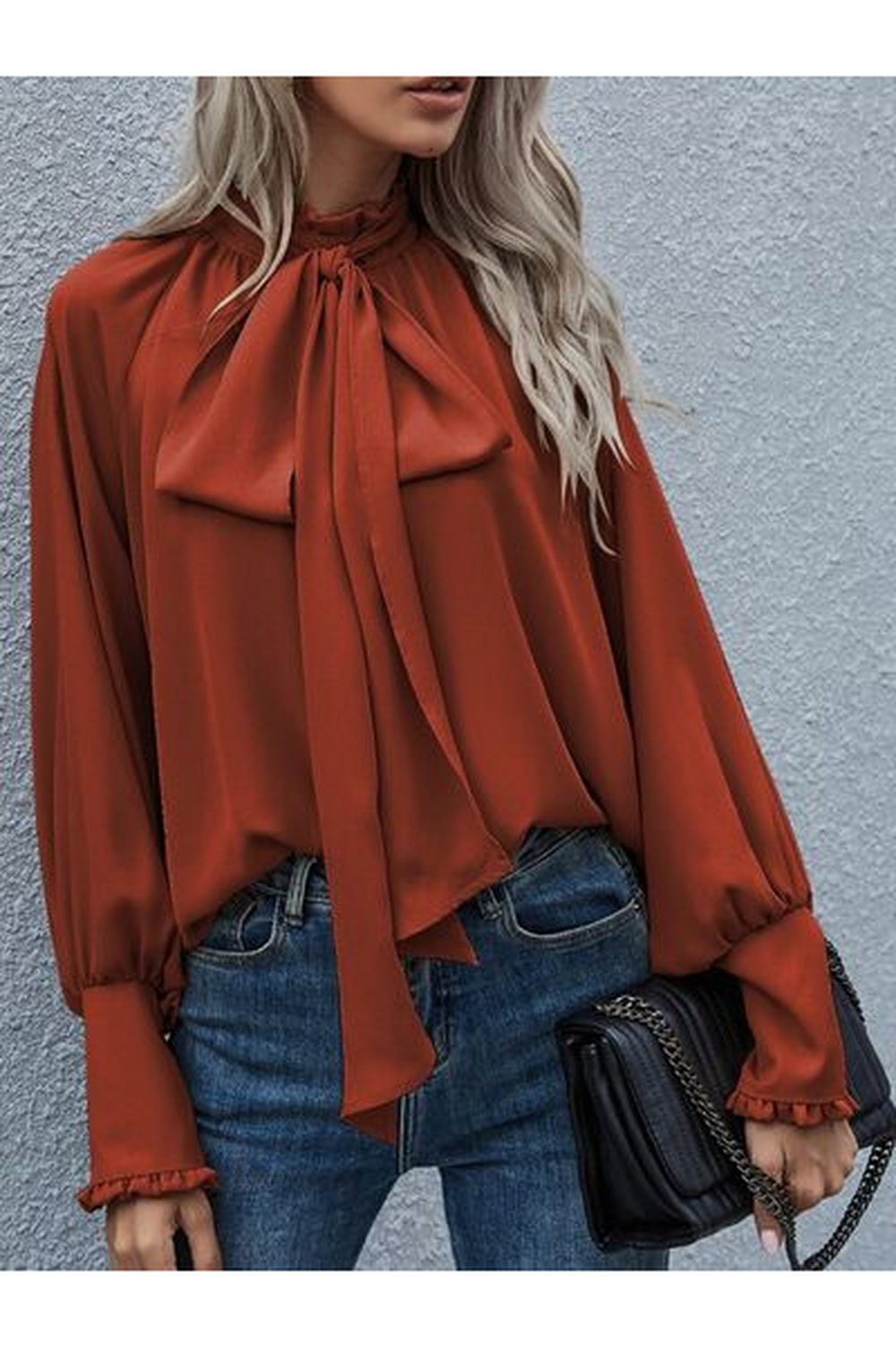 Tie Neck Lantern Sleeve Blouse